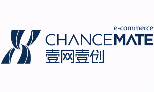 2023年電商代運營十大公司排名與品牌管理能力解析